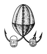 Ловля рыбы со льда - i_072.jpg