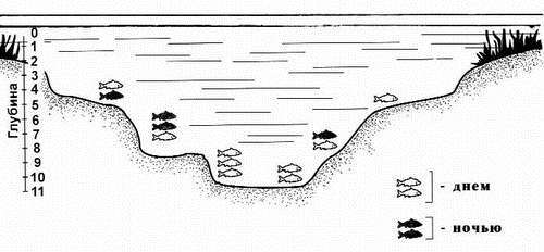 Ловля рыбы со льда - i_086.jpg