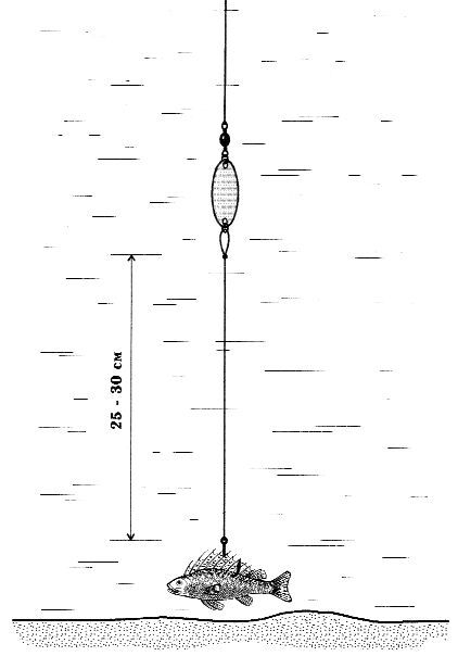 Ловля рыбы со льда - i_094.jpg