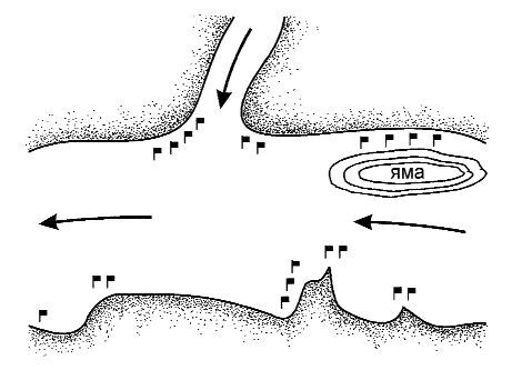 Ловля рыбы со льда - i_099.jpg