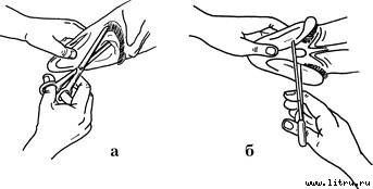 Правильное копчение и вяление рыбы - pic_3.jpg