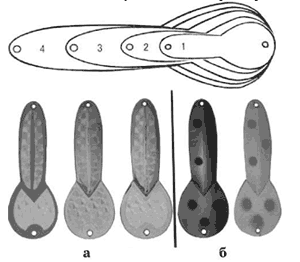 Самые уловистые спиннинговые блесны и воблеры - i_095.png