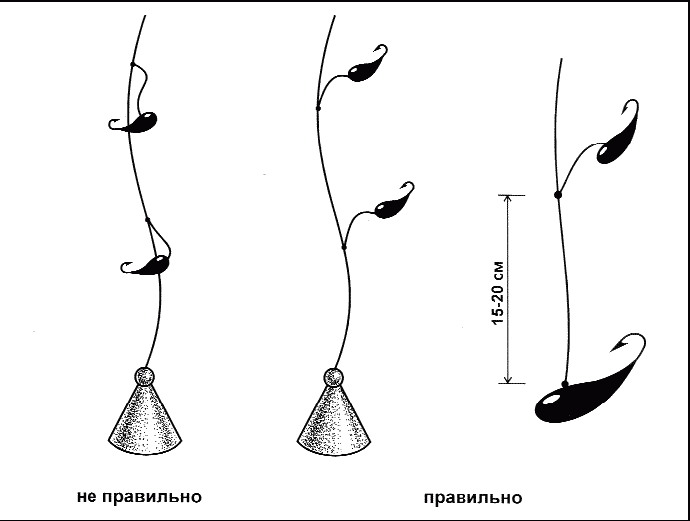 Справочник рыболова - i_056.png