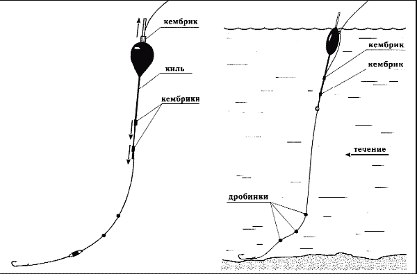 Справочник рыболова - i_062.png