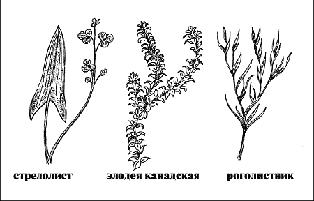 Справочник рыболова - i_090.png