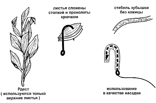 Справочник рыболова - i_091.png