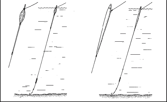 Справочник рыболова - i_094.png