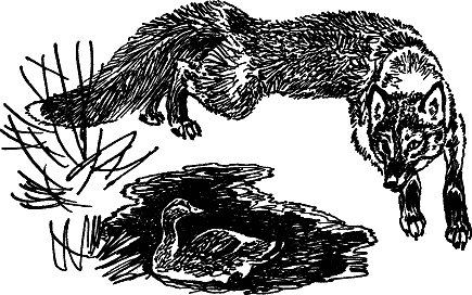 Рассказы и сказки - i_008.png