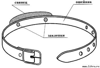 Настольная книга подводного охотника - i_039.jpg