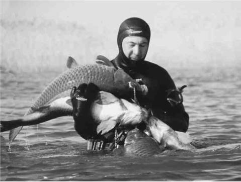 Современная подводная охота - any2fbimgloader26.jpeg