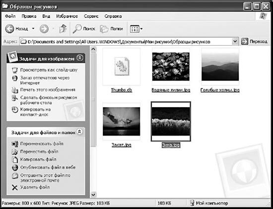 Windows XP - pic1.jpg