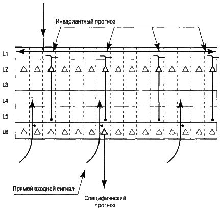 Об интеллекте - i_12.png