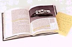 Техника спортивной езды (ЛП) - pic_113.jpg