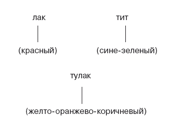 Большая энциклопедия НЛП. Структура магии - i_001.png