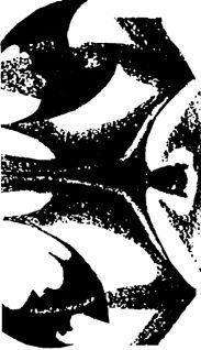 Тайные общества XX века - pic_10.jpg