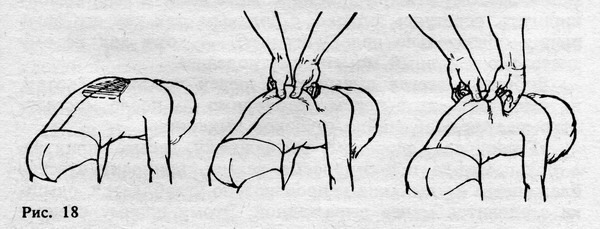Физкультурный заслон ОРЗ - ris_18.jpg