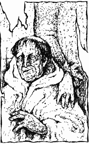 Тень власти - i_004.png