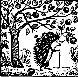 Сказки черепахи Кири-Бум - i_014.png