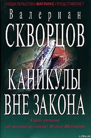 Каникулы вне закона