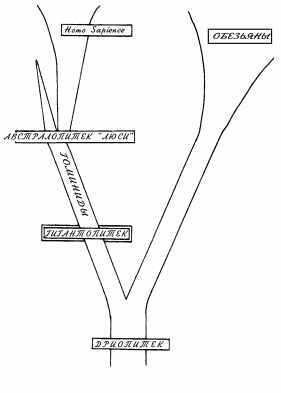 Головорез - pic_13.jpg