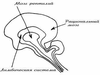 Головорез - pic_9.jpg