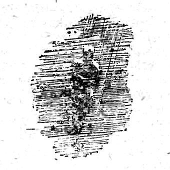 Между своими - i_009.jpg