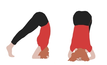 Курс Йоги 114. Хатха йога. Статическая йога - image053.jpg