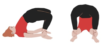 Курс Йоги 114. Хатха йога. Статическая йога - image054.jpg