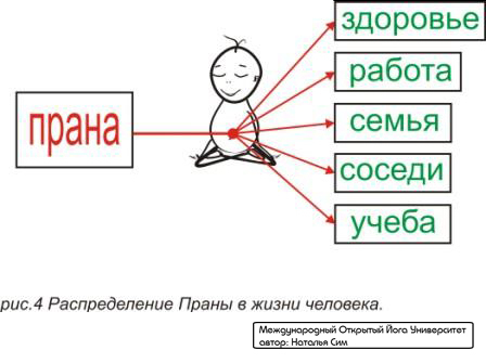 Курс Йоги 116. Пранаяма йога. Дыхание йогов - image010.jpg