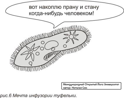 Курс Йоги 116. Пранаяма йога. Дыхание йогов - image012.jpg