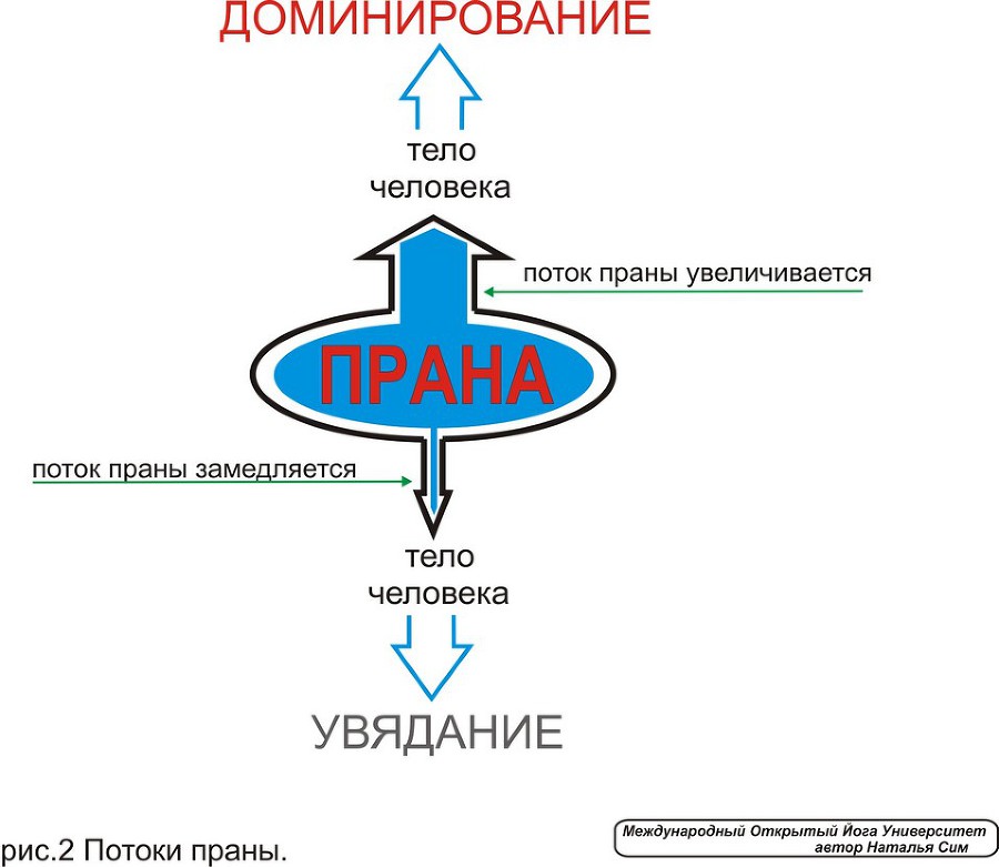 Курс Йоги 116. Пранаяма йога. Дыхание йогов - image015_2.jpg