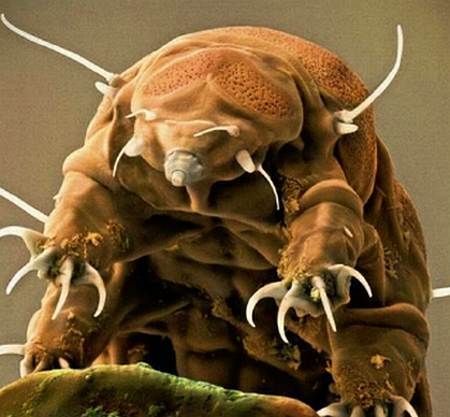 Всякая всячина 2015 №02 - _35.jpg