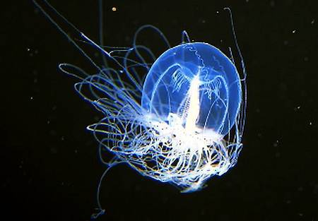 Всякая всячина 2015 №02 - _36.jpg