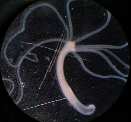 Всякая всячина 2015 №02 - _37.jpg