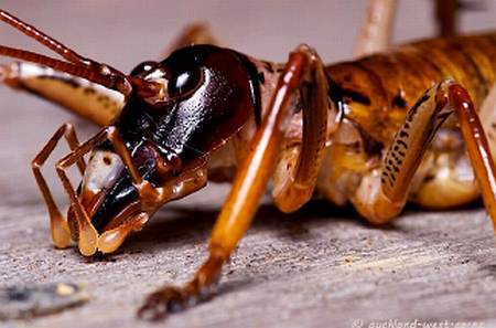 Всякая всячина 2015 №02 - _39.jpg