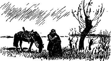 Азов - any2fbimgloader12.jpeg