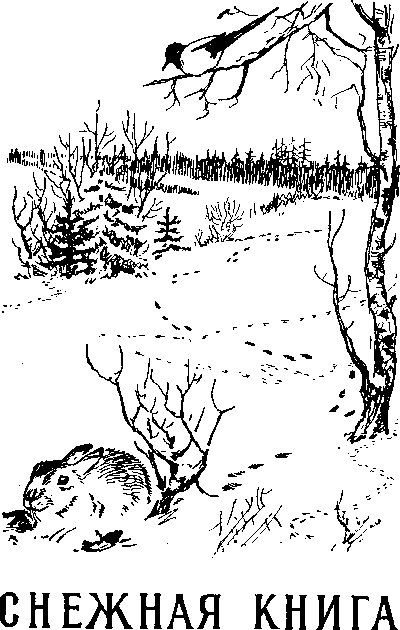 Снежная книга - Snejn001_.png