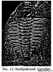 Православное мировоззрение и современное естествознание - fig.12.jpg