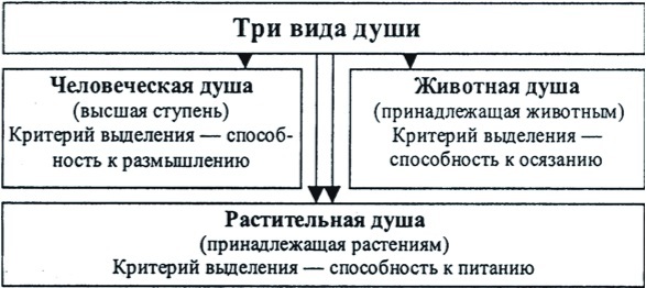 Психология в лицах - b00000511.jpg