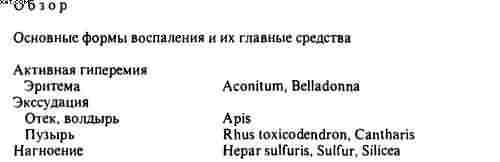 Гомеопатия. Часть II. Практические рекомендации к выбору лекарств - i_010.jpg