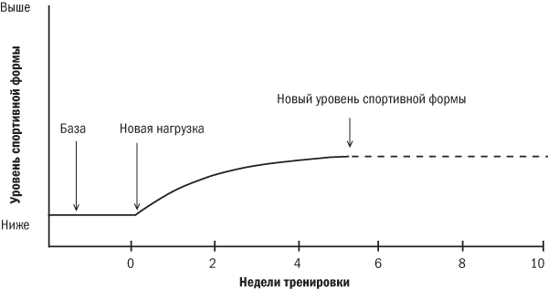 От 800 метров до марафона - i_001.png