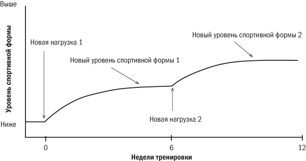 От 800 метров до марафона - i_002.png