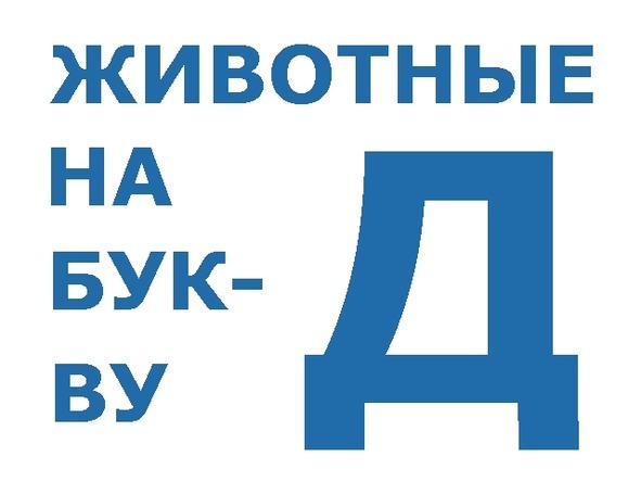 О животных по алфавиту. Книга третья. Животные на Д – З - image0_566aad4827d60ab369b8836b_jpg.jpeg