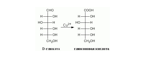 Структурная биохимия - image10_55d8cc4099413cac26e02b44_jpg.jpeg