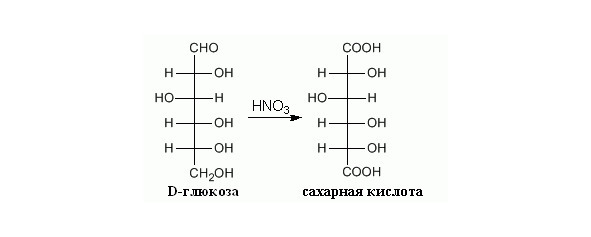 Структурная биохимия - image12_55d8cc4199413cac26e02b4a_jpg.jpeg