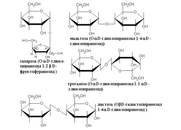 Структурная биохимия - image19_5665c7216fcf720257f6bafd_jpg.jpeg