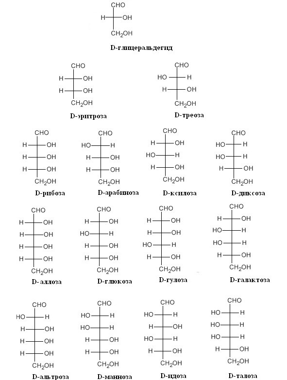 Структурная биохимия - image1_5665c6c46fcf720257f6ba71_jpg.jpeg