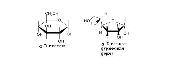 Структурная биохимия - image2_55d8cc3b99413cac26e02b2c_jpg.jpeg