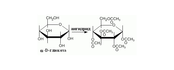 Структурная биохимия - image7_55d8cc3e99413cac26e02b3b_jpg.jpeg