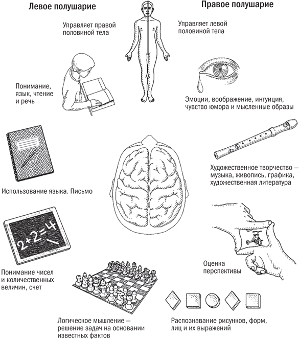 Мой ребенок – интроверт. Как выявить скрытые таланты и подготовить к жизни в обществе - i_005.png
